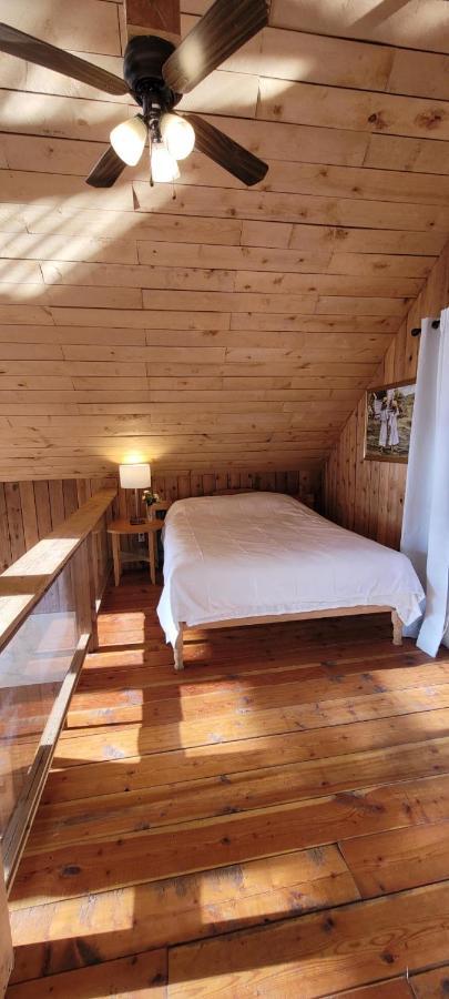 Ocean Views & Sunset Beach Cabin With Soaker Tub & Fire Pit Villa Powell River Exterior photo